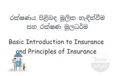 Basic Introduction to Insurance and Principles of Insurance