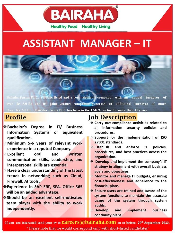 Assistant Manager - IT