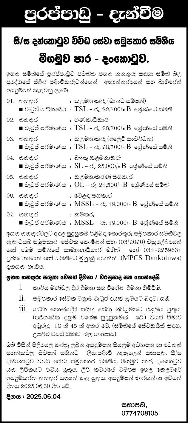 Management Assistant, Sales Assistant, Laborer, Manager, Accountant, Bank Manager