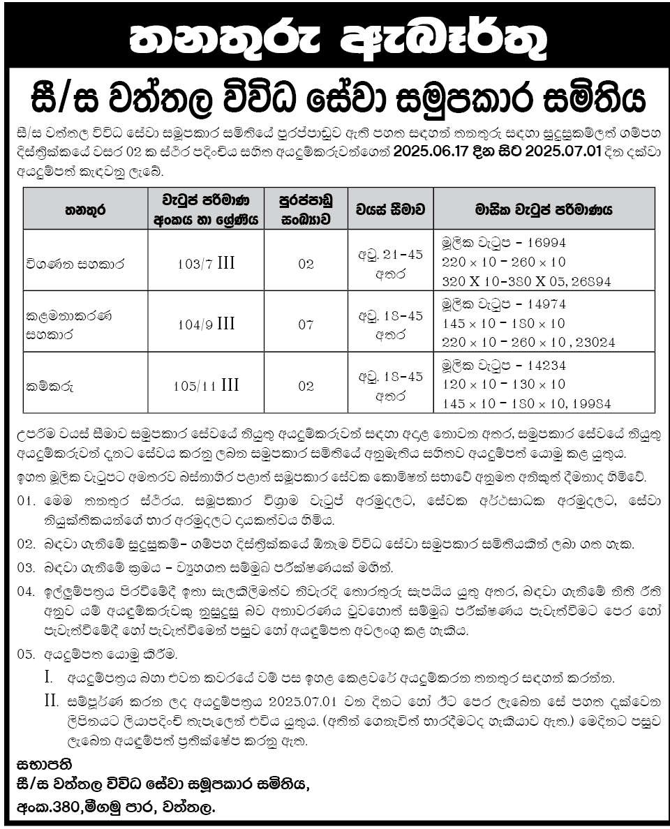 Audit Assistant, Management Assistant, Labor